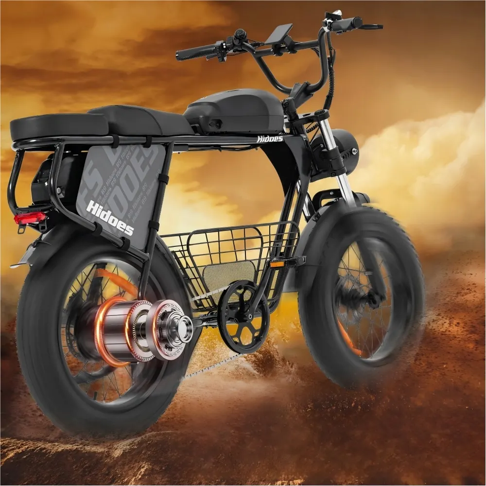 Bici elettrica Hidoes B9 con doppia batteria 48V 33.8Ah per lunga autonomia
