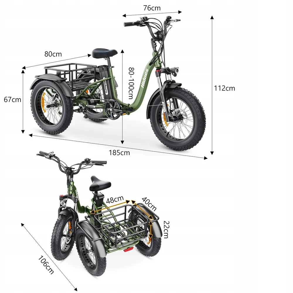 Bici elettrica Hidoes HD-ET1 750W dal peso di 50 kg