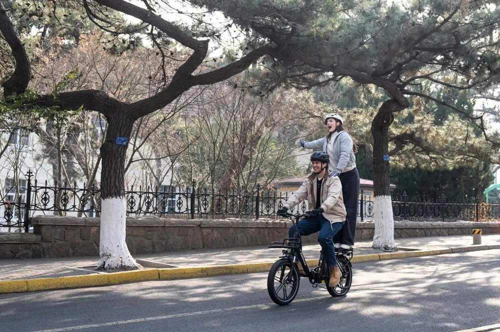 KOOLUX X16 E-Bike Pieghevole image 14