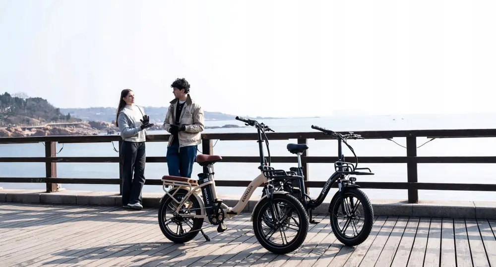 KOOLUX X16 E-Bike Pieghevole image 15
