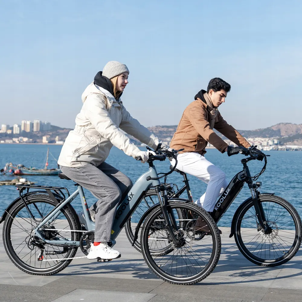 KOOLUX X2 bici elettrica 26 pollici grigia con batteria 48V 15Ah e motore 500W