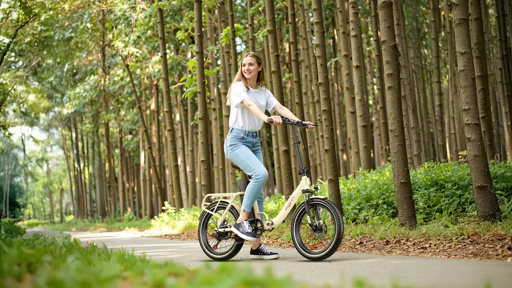Bici elettrica pieghevole ONESPOT OT16-2 con batteria 48V 17AH e motore 250W