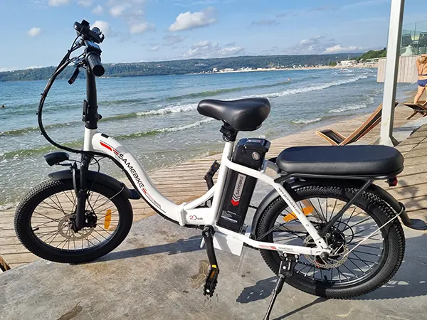 SAMEBIKE CY20 Bici Elettrica Pieghevole image 8