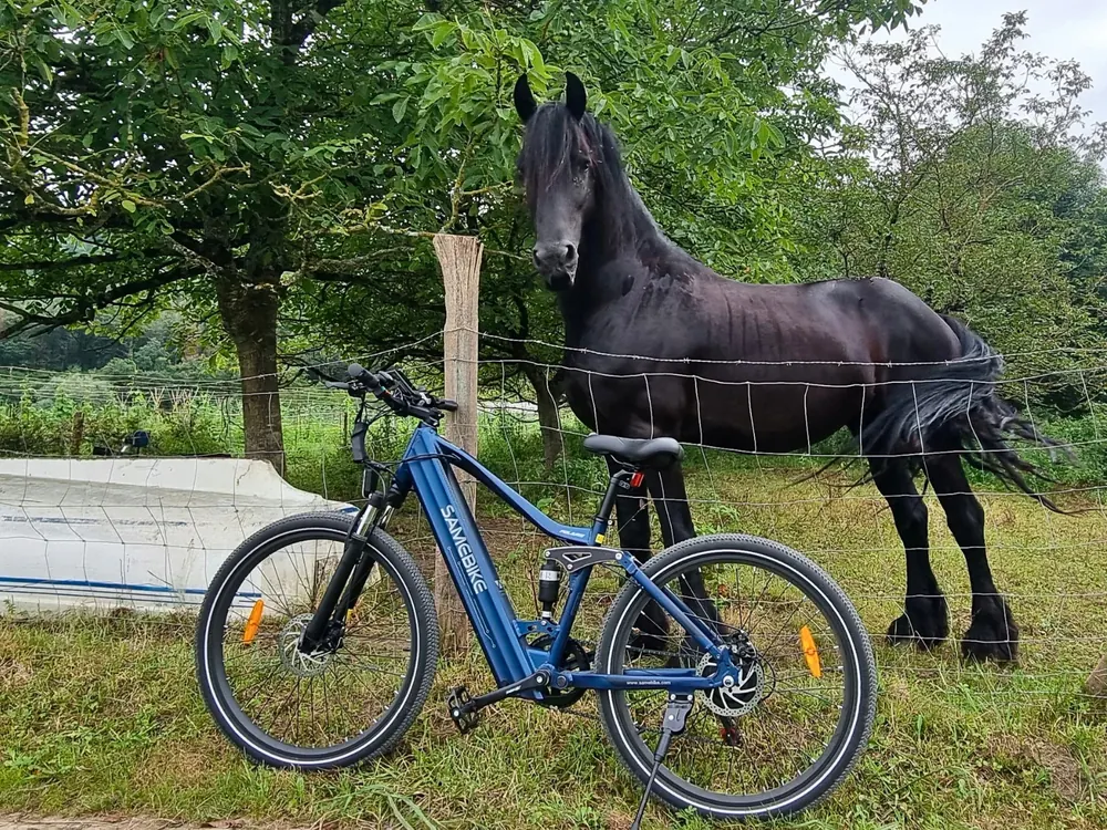 SAMEBIKE XD26-II E-Bike All-Terrain image 12