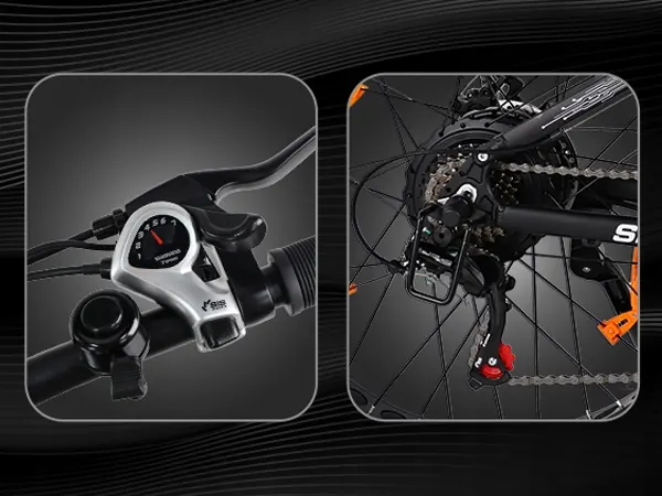 Bici elettrica VARUN 26X4.0 con carico massimo 150 kg in azione