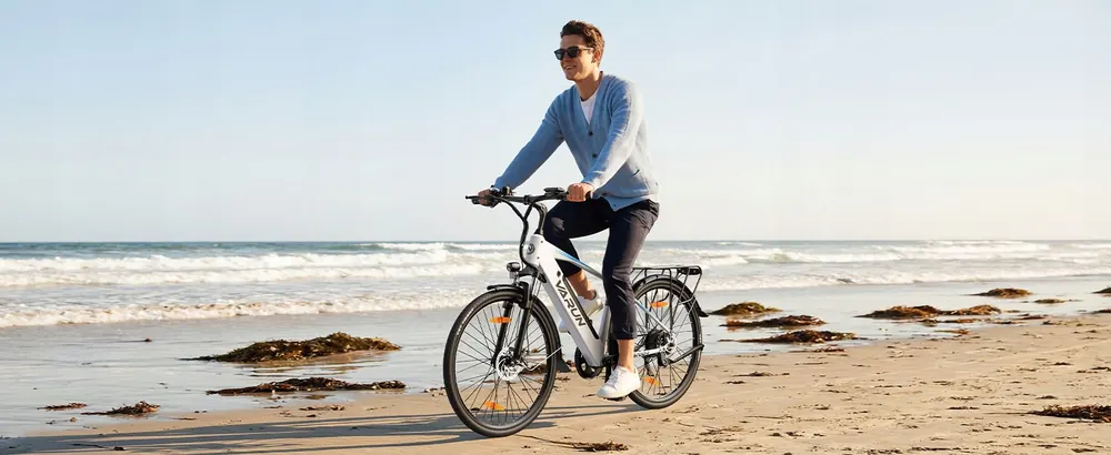 Motore da 250 W della bicicletta elettrica Varun S700-1