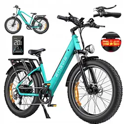 ENGWE E26 Bici Elettrica All-Terrain