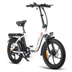 FAFREES F20 Bici Elettrica Pieghevole Fat