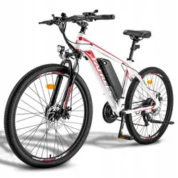 FAFREES Hailong One E-MTB 26"