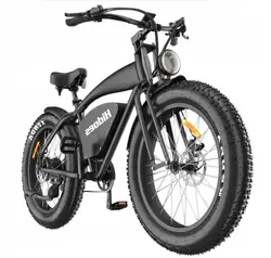 HIDOES B3 Fat Tire E-Bike