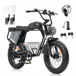 HIDOES B9 Fat Bike Elettrica